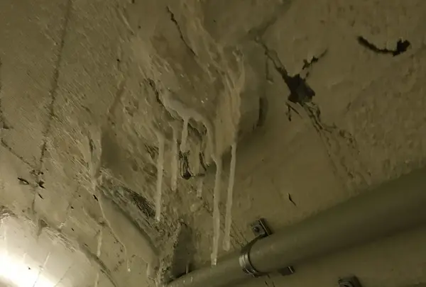 音水湖(引原ダム）の写真・動画_image_147895