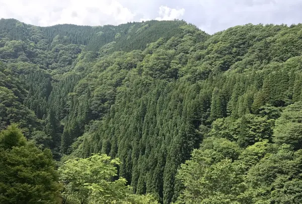 音水湖(引原ダム）の写真・動画_image_147897