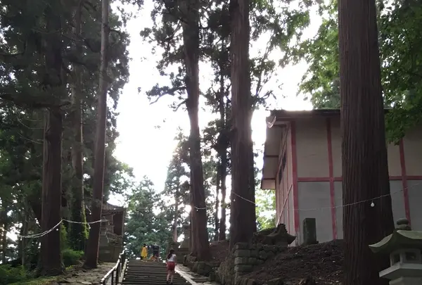 熊野大社の写真・動画_image_147914