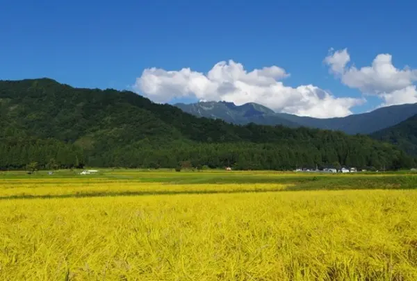 南魚沼市農業体験大学校の写真・動画_image_147930
