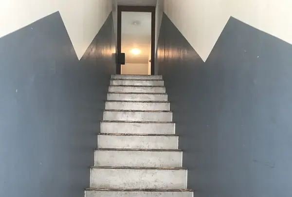 TRITON CAFE 代官山の写真・動画_image_148014