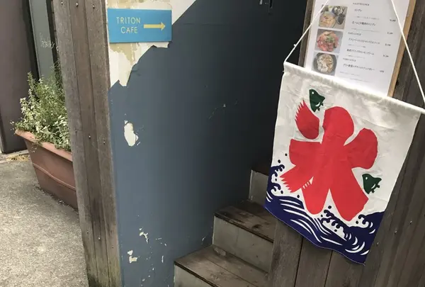TRITON CAFE 代官山の写真・動画_image_148019
