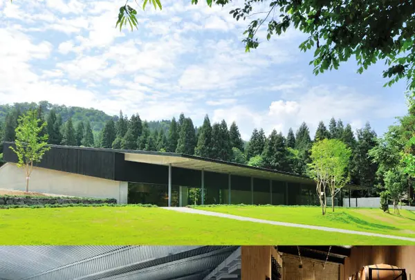 八海山雪室の写真・動画_image_148033