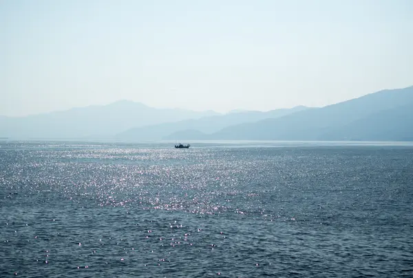 越前・河野しおかぜラインの写真・動画_image_148046