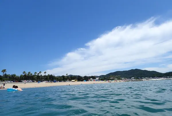 阿万海岸海水浴場の写真・動画_image_148175