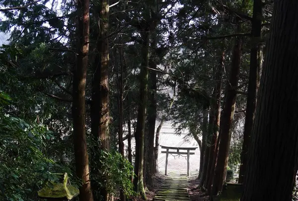 佐為神社の写真・動画_image_148189