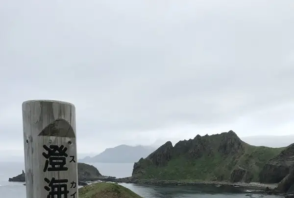 礼文島の写真・動画_image_148266