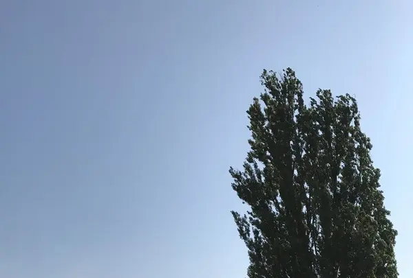 パッチワークの路の写真・動画_image_148297