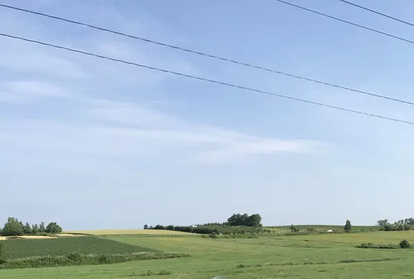 パッチワークの路の写真・動画_image_148298