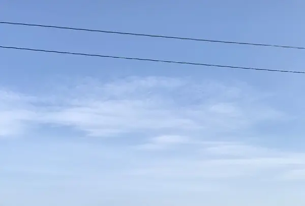 パッチワークの路の写真・動画_image_148299