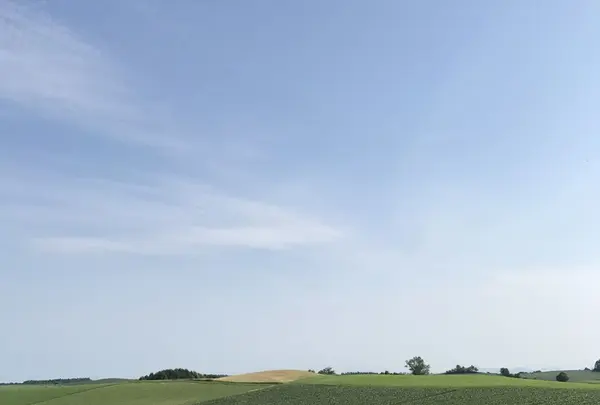 パッチワークの路の写真・動画_image_148300