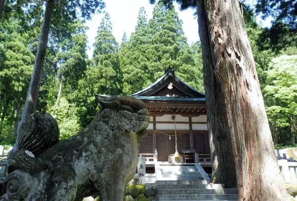 白山宮の写真・動画_image_148424
