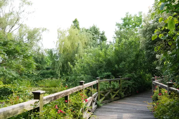 松江イングリッシュガーデンの写真・動画_image_148442