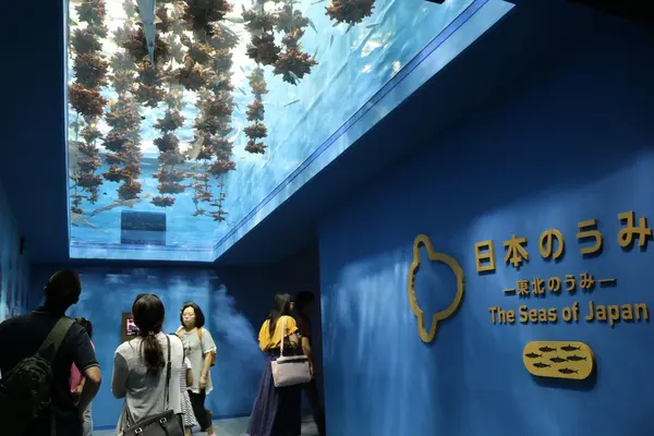 仙台うみの杜水族館の写真・動画_image_148589