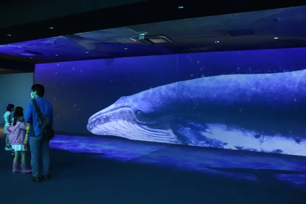 仙台うみの杜水族館の写真・動画_image_148590