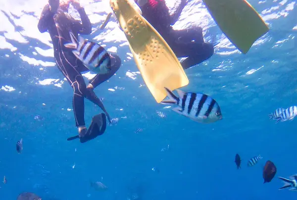 青の洞窟の写真・動画_image_148667