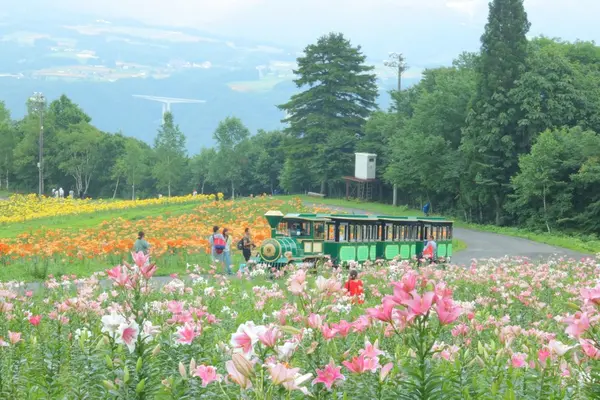 ダイナランドの写真・動画_image_148733