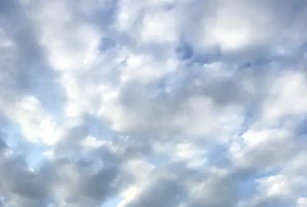 御前埼灯台の写真・動画_image_148833