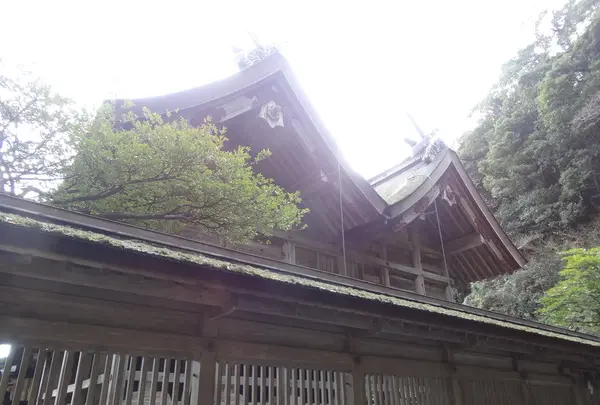 美保神社の写真・動画_image_149017