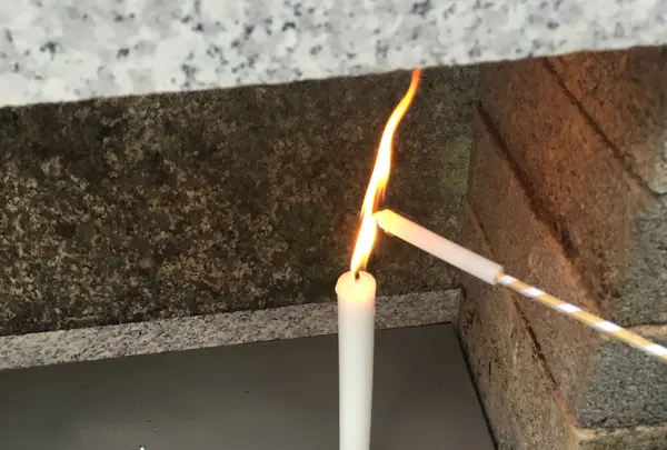 下鴨神社（賀茂御祖神社）の写真・動画_image_149349