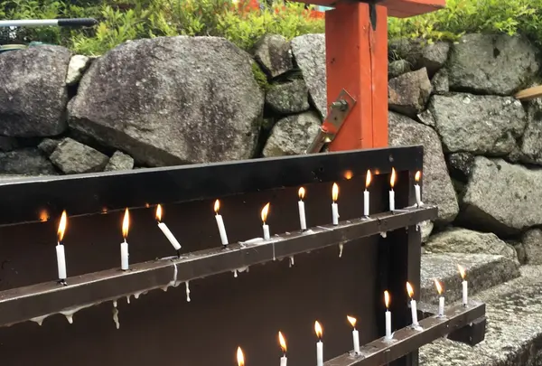 下鴨神社（賀茂御祖神社）の写真・動画_image_149350