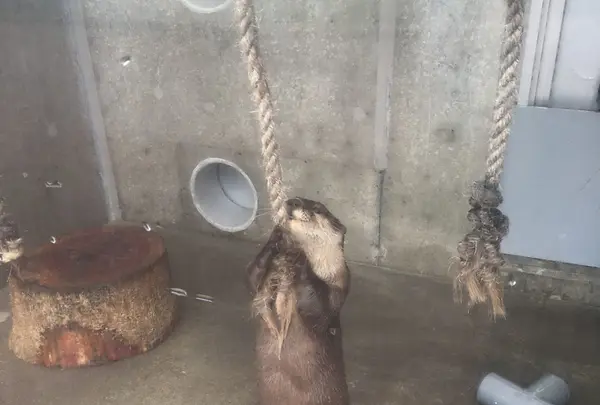 【閉業】京急油壺マリンパークの写真・動画_image_149440