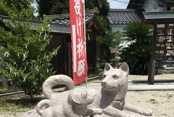 売豆紀神社の写真・動画_image_149445