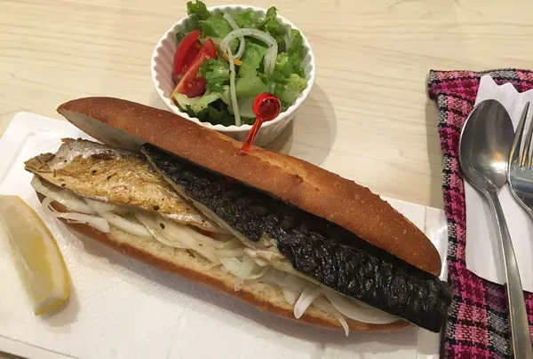 さるやすみの写真・動画_image_149491