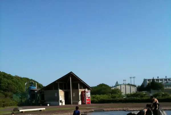 中井中央公園の写真・動画_image_149587