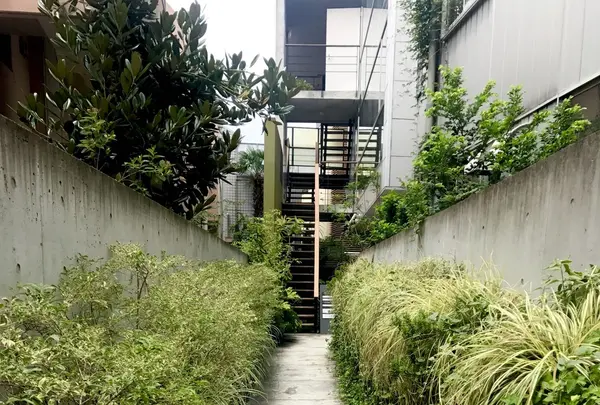 ブラウンライス（BROWN RICE）の写真・動画_image_149617