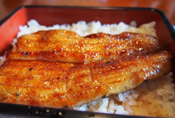 天龍の写真・動画_image_149625