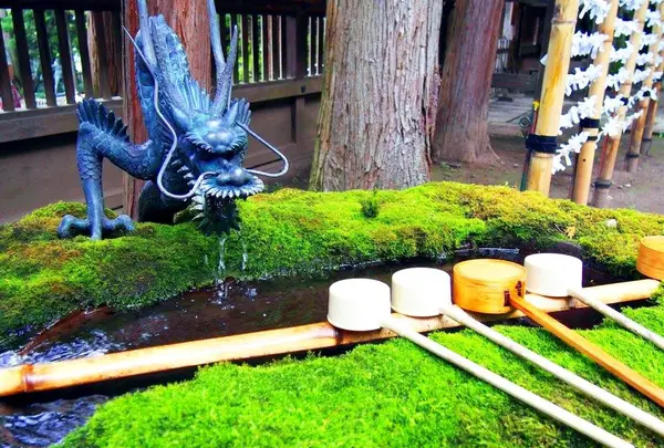 諏訪大社上社本宮の写真・動画_image_149641