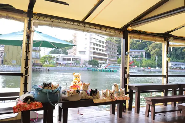 らーめんカフェワコーの写真・動画_image_149835