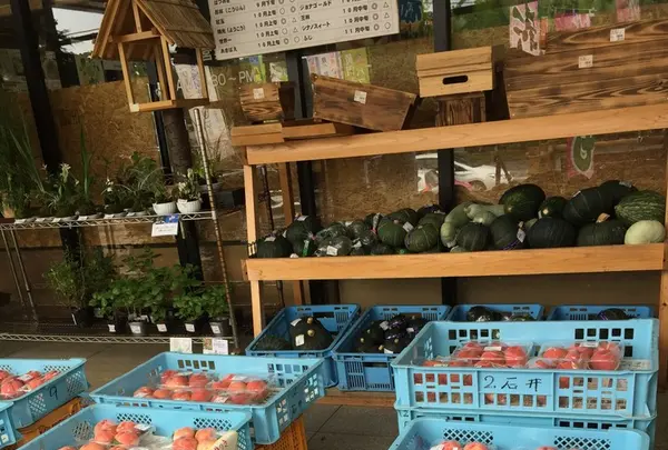 だいご味らんどの写真・動画_image_149840