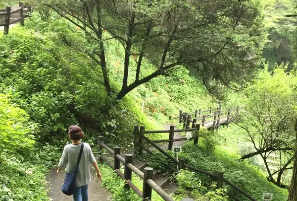 龍門の滝の写真・動画_image_149843