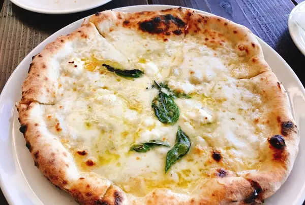 Cafe UKAUKAの写真・動画_image_149845