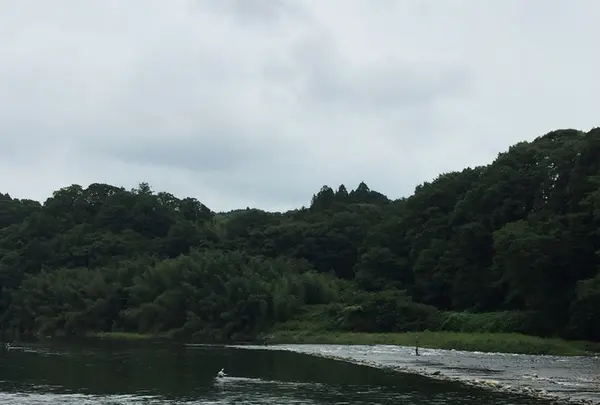 大瀬観光やなの写真・動画_image_149850