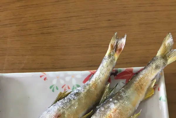 大瀬観光やなの写真・動画_image_149853