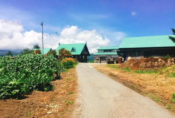 ひつじやの写真・動画_image_149889