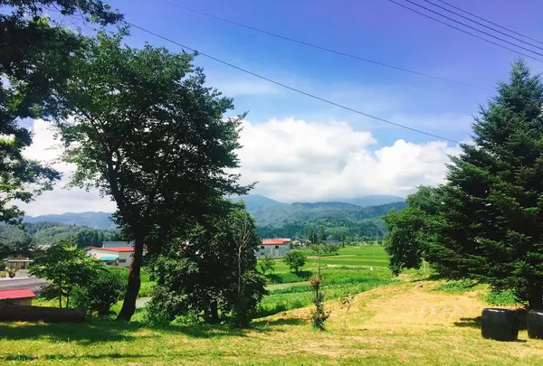 ひつじやの写真・動画_image_149891