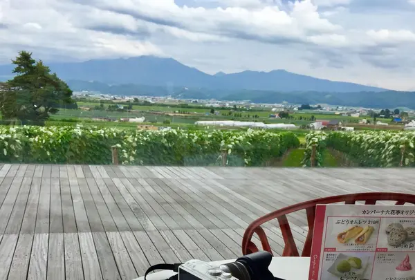 カンパーナ六花亭の写真・動画_image_149958