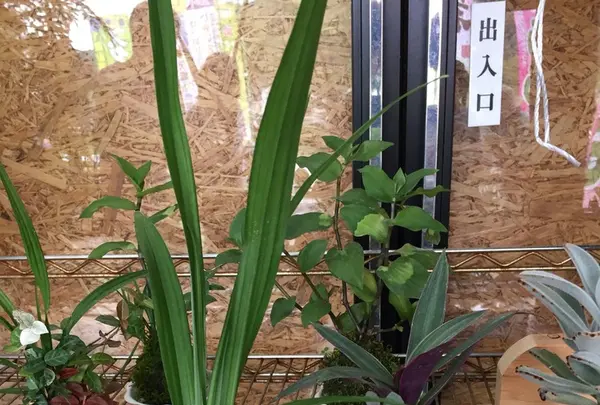 だいご味らんどの写真・動画_image_150008