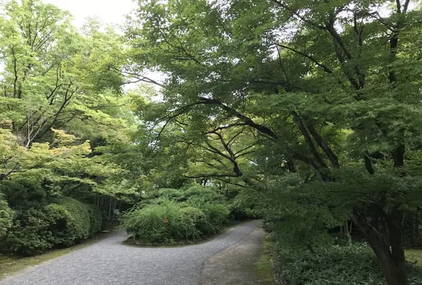有楽苑の写真・動画_image_150152