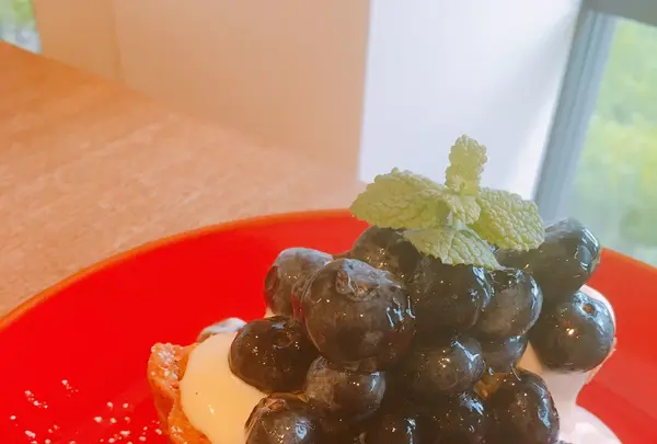 SAYS FARMの写真・動画_image_150523