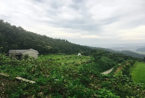 SAYS FARMの写真・動画_image_150578