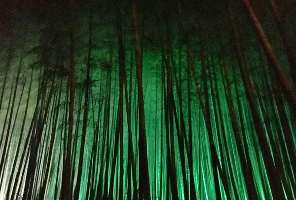 武雄神社（武雄五社大明神）の写真・動画_image_150644