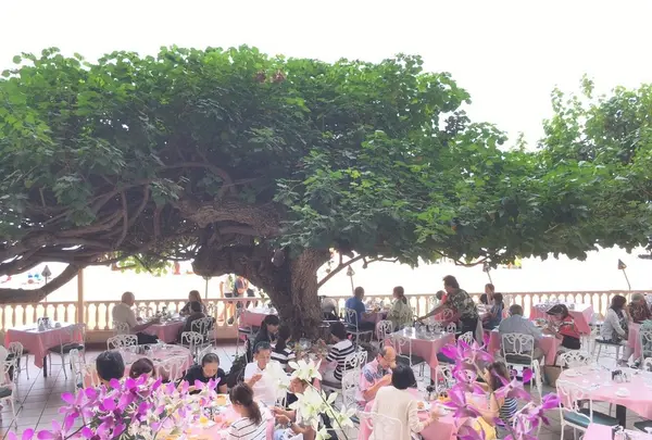 ハウ ツリー ラナイの写真・動画_image_150720