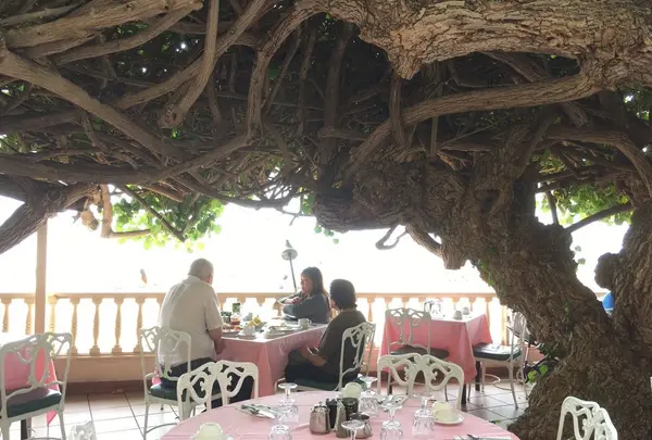 ハウ ツリー ラナイの写真・動画_image_150721