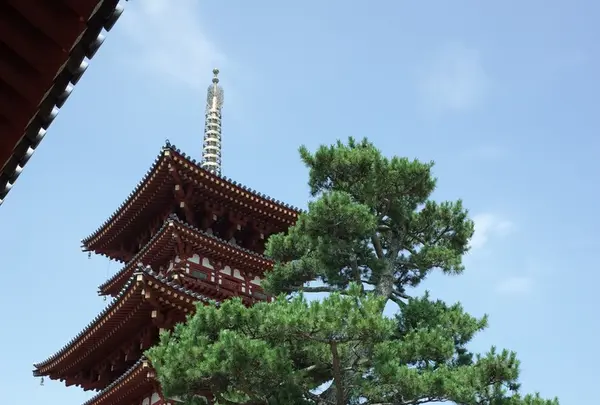 薬師寺の写真・動画_image_150778