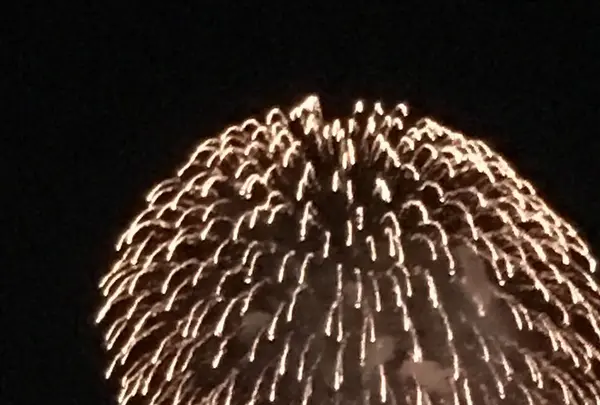 嬉泉館の写真・動画_image_150806